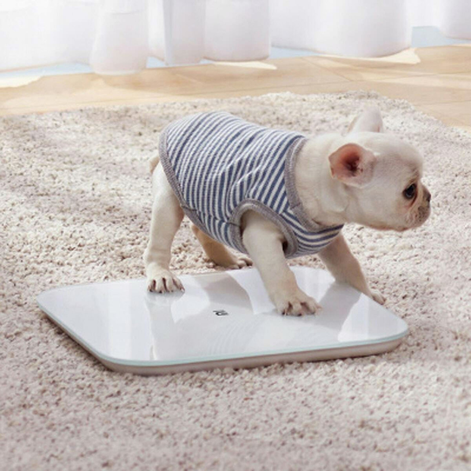 Xiaomi Mi Smart Scale